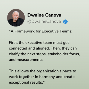 Framework for Executive Teams