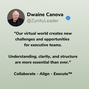 Our Virtual World - Executive Teams