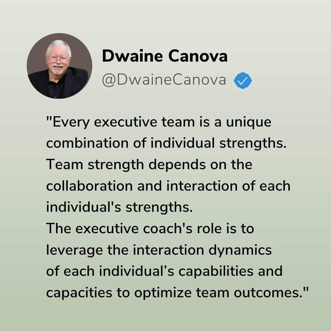 Executive Team Dynamics