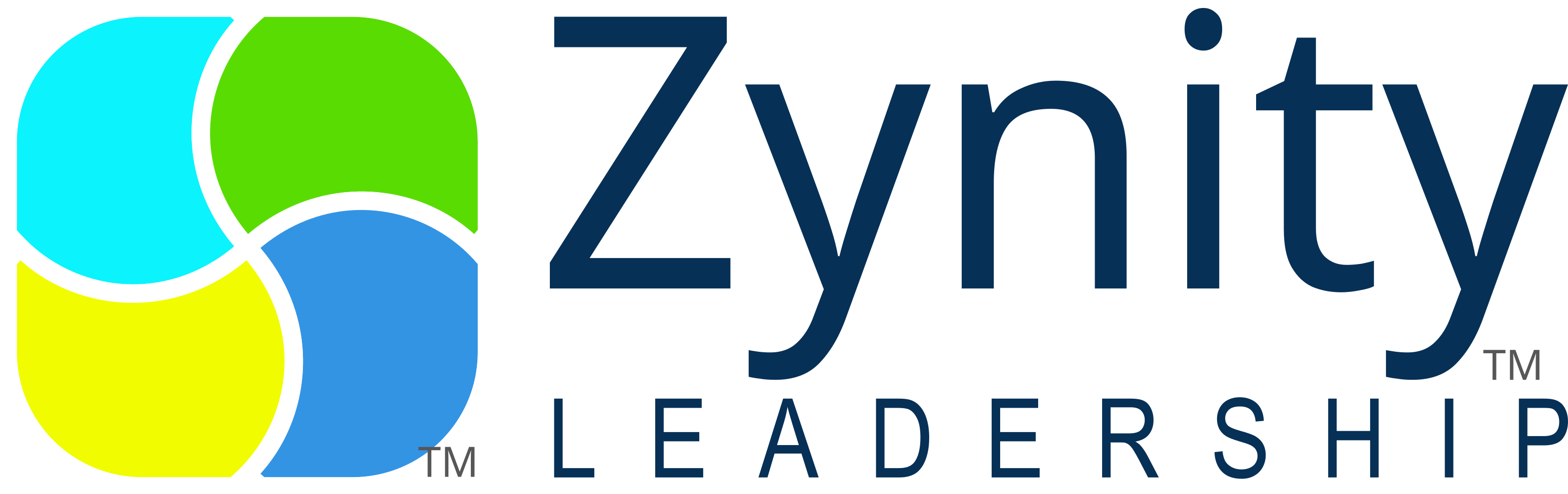 Zynity Leadership Logo